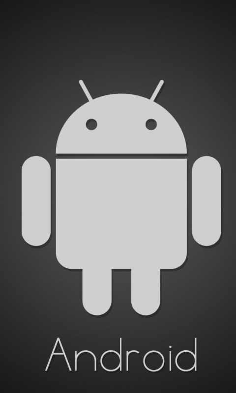 Das Android Google Logo Wallpaper 480x800