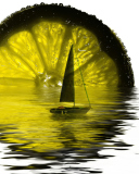 Fondo de pantalla Lime Boat 128x160