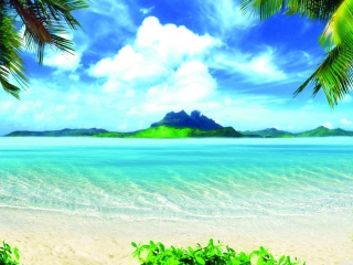 Das Summer Vacation Wallpaper 320x240