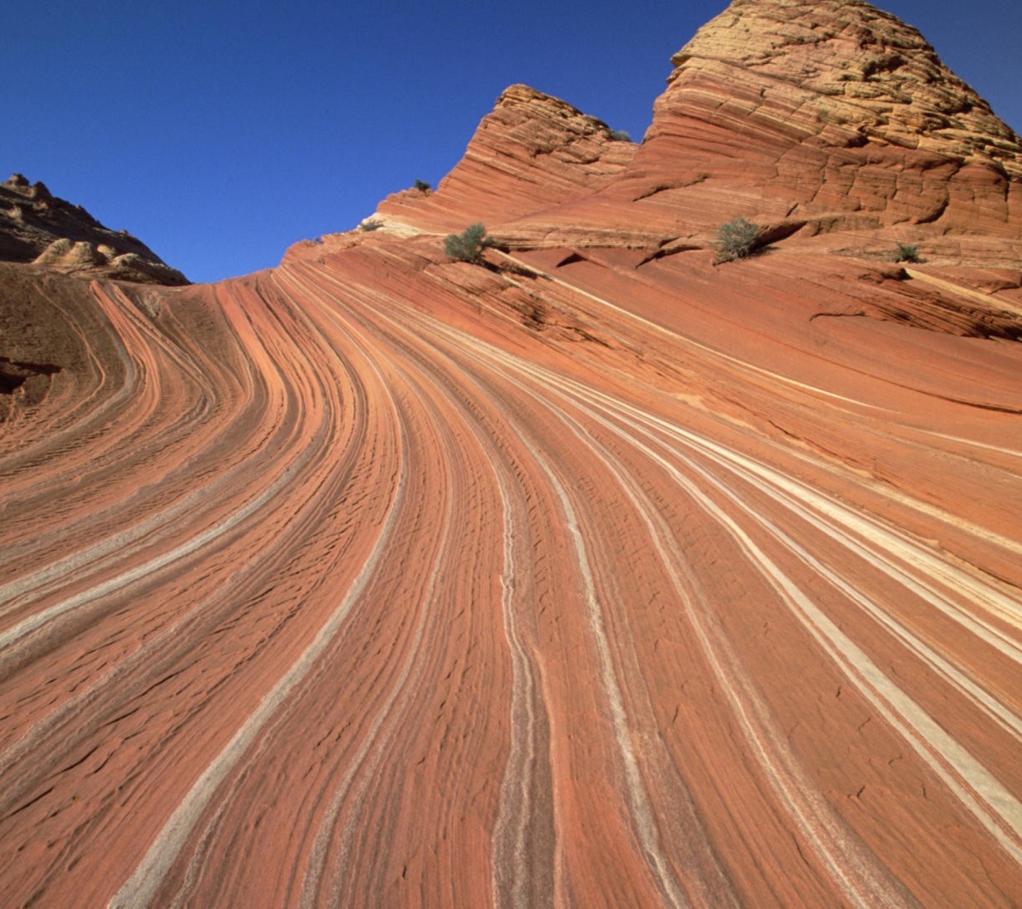 Das Colorado Canyons Wallpaper 1440x1280