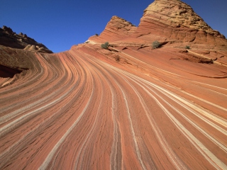 Das Colorado Canyons Wallpaper 320x240