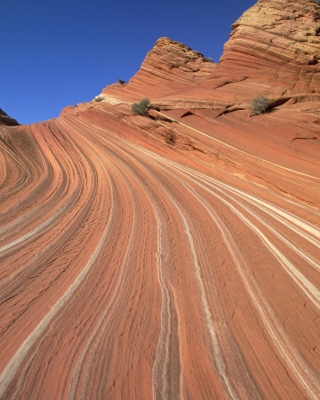 Colorado Canyons sfondi gratuiti per iPhone 6