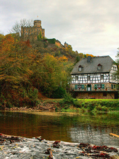 Das Castle in Autumn Forest Wallpaper 240x320