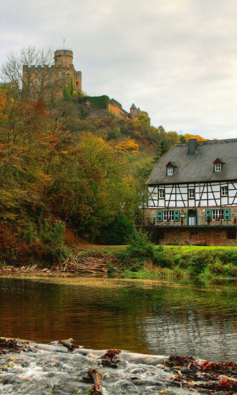 Das Castle in Autumn Forest Wallpaper 480x800