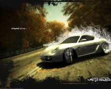 Fondo de pantalla Need For Speed Most Wanted 220x176