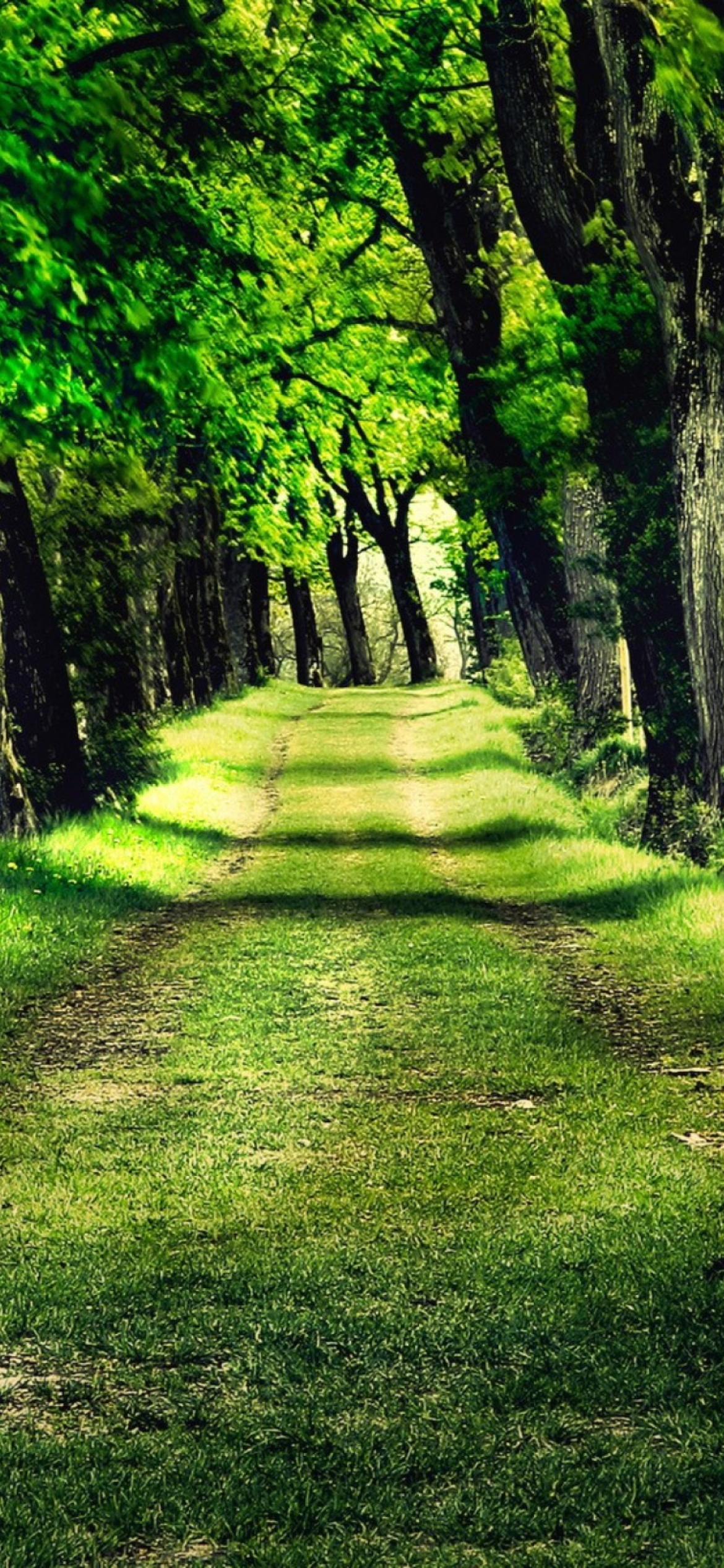 Sfondi Green Path 1170x2532