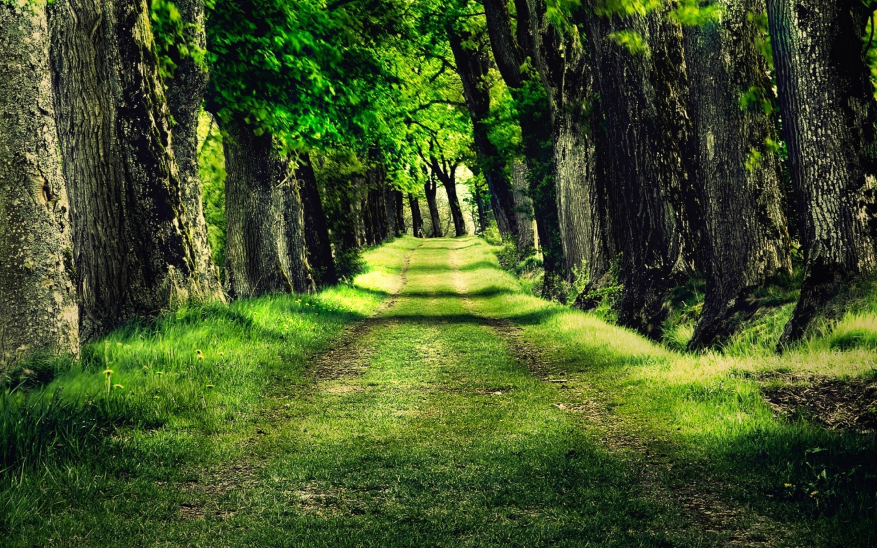 Green Path screenshot #1 1280x800