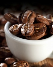 Обои Arabica Coffee Beans 176x220