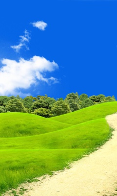 Обои Green Hills In South America 240x400