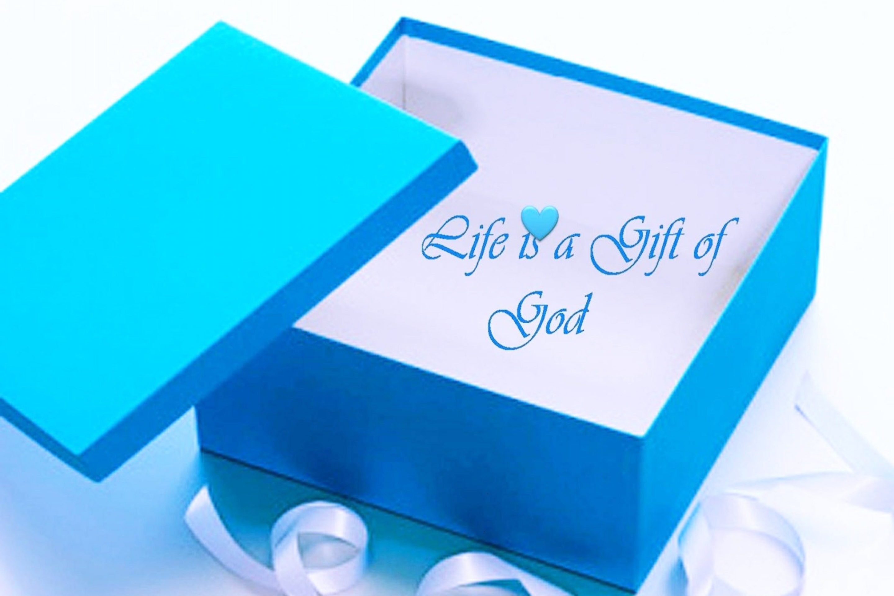 Fondo de pantalla Life Is Gift Of God 2880x1920