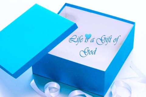 Das Life Is Gift Of God Wallpaper 480x320