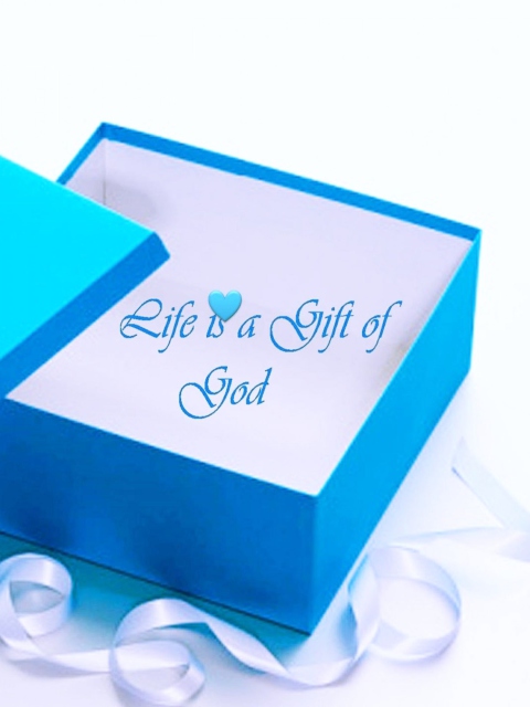 Das Life Is Gift Of God Wallpaper 480x640