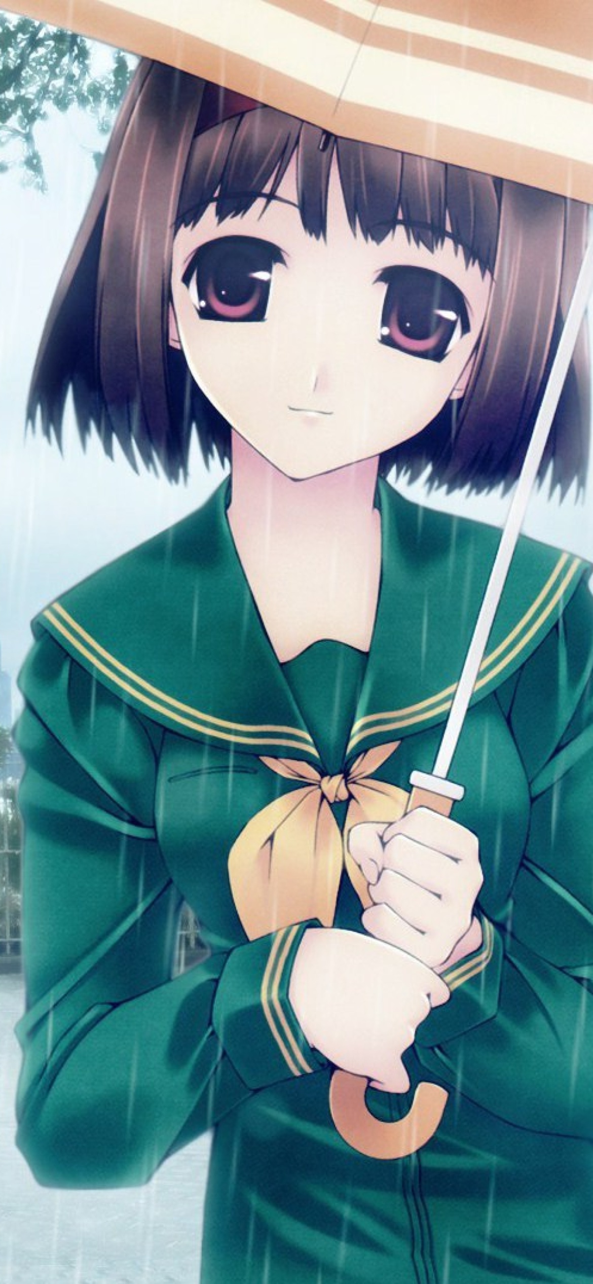 Anime girl in rain Wallpaper for 1170x2532