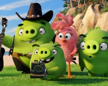 Fondo de pantalla The Angry Birds Movie Pigs 220x176