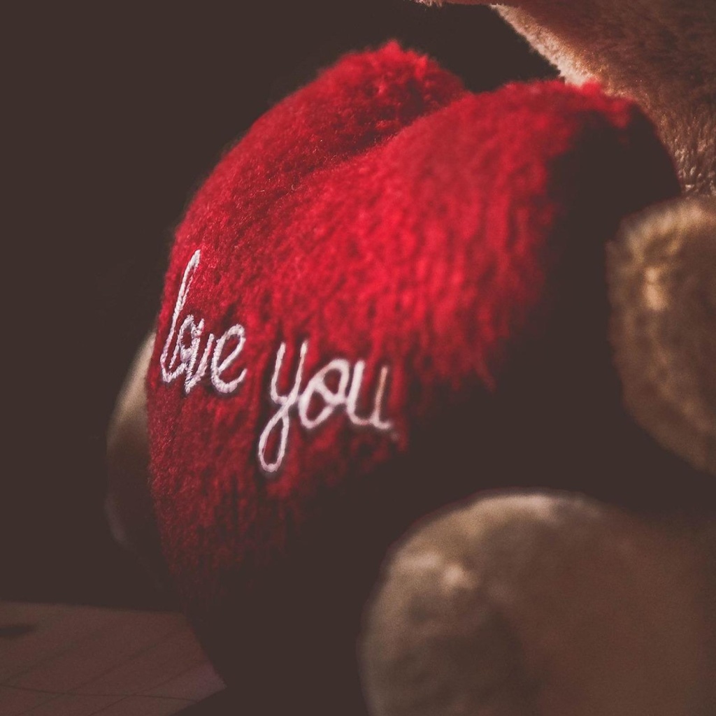 Fondo de pantalla Love You Plush Bear 1024x1024