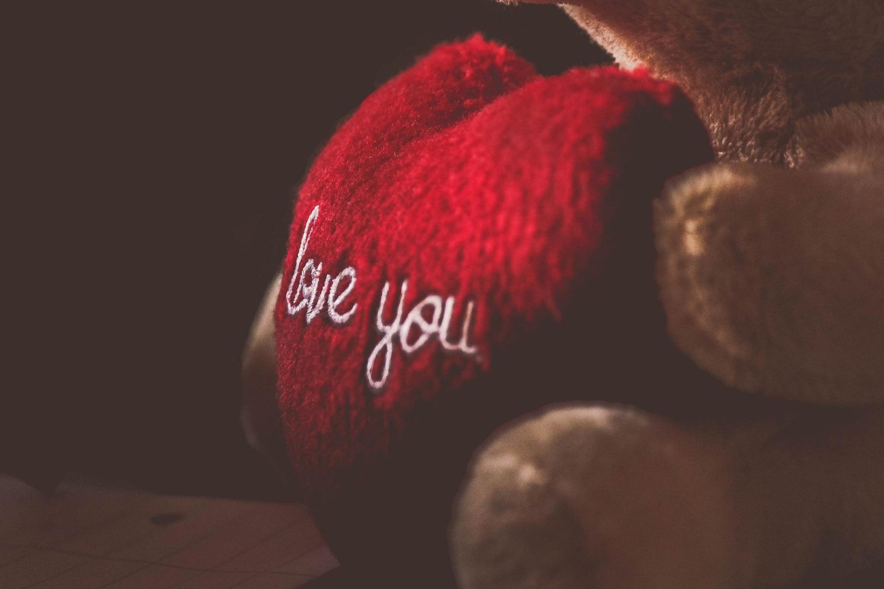 Das Love You Plush Bear Wallpaper 2880x1920