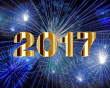 Sfondi 2017 New Year Holiday fireworks 220x176