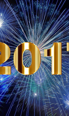 Sfondi 2017 New Year Holiday fireworks 240x400