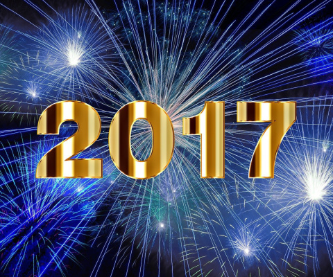 Das 2017 New Year Holiday fireworks Wallpaper 480x400