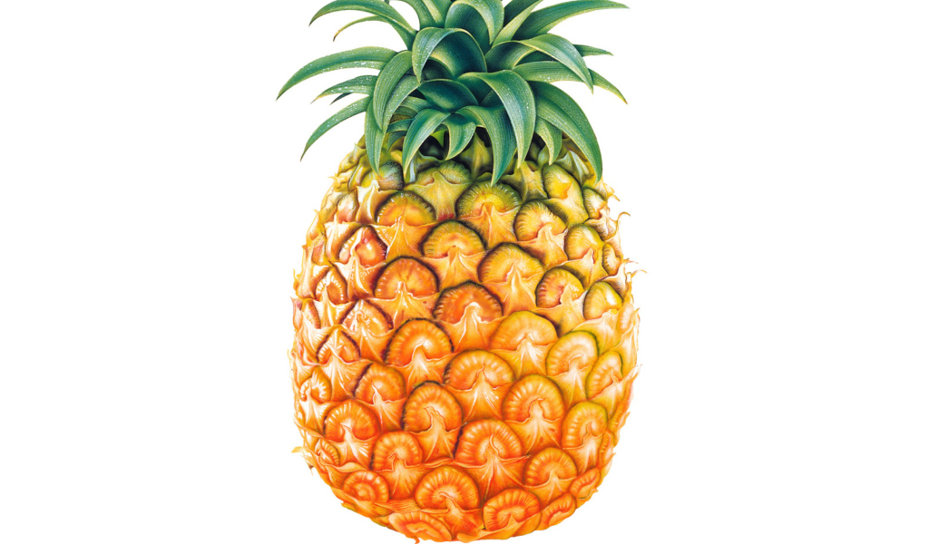 Обои Pineapple 1024x600