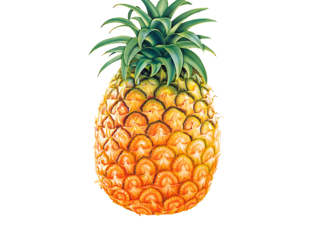 Fondo de pantalla Pineapple 1024x768