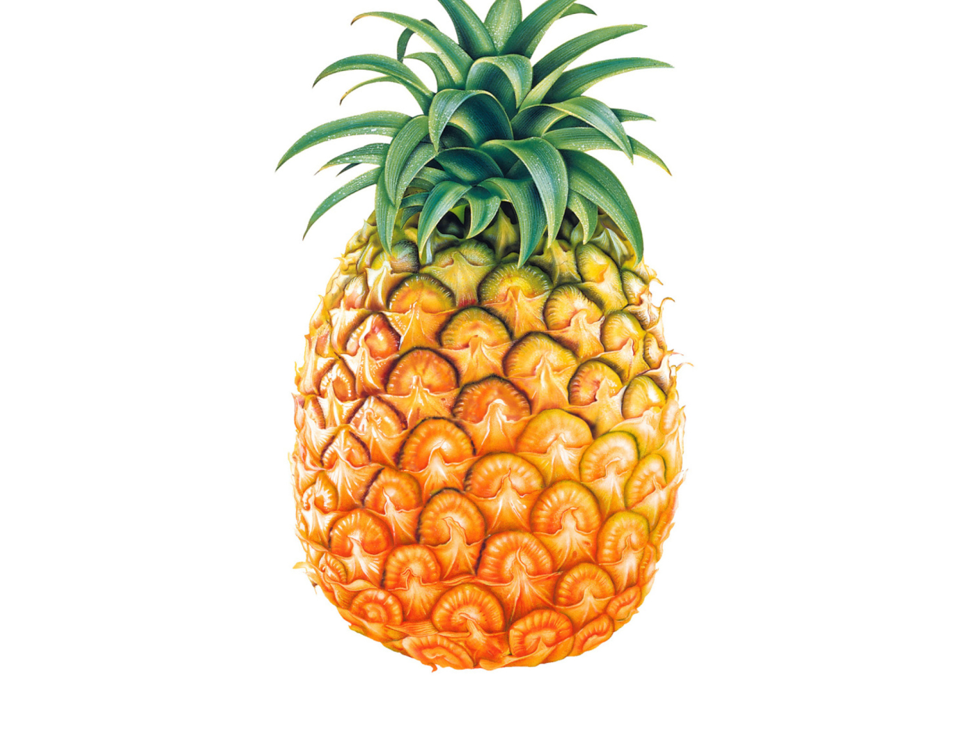 Fondo de pantalla Pineapple 1400x1050