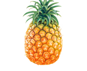 Обои Pineapple 176x144