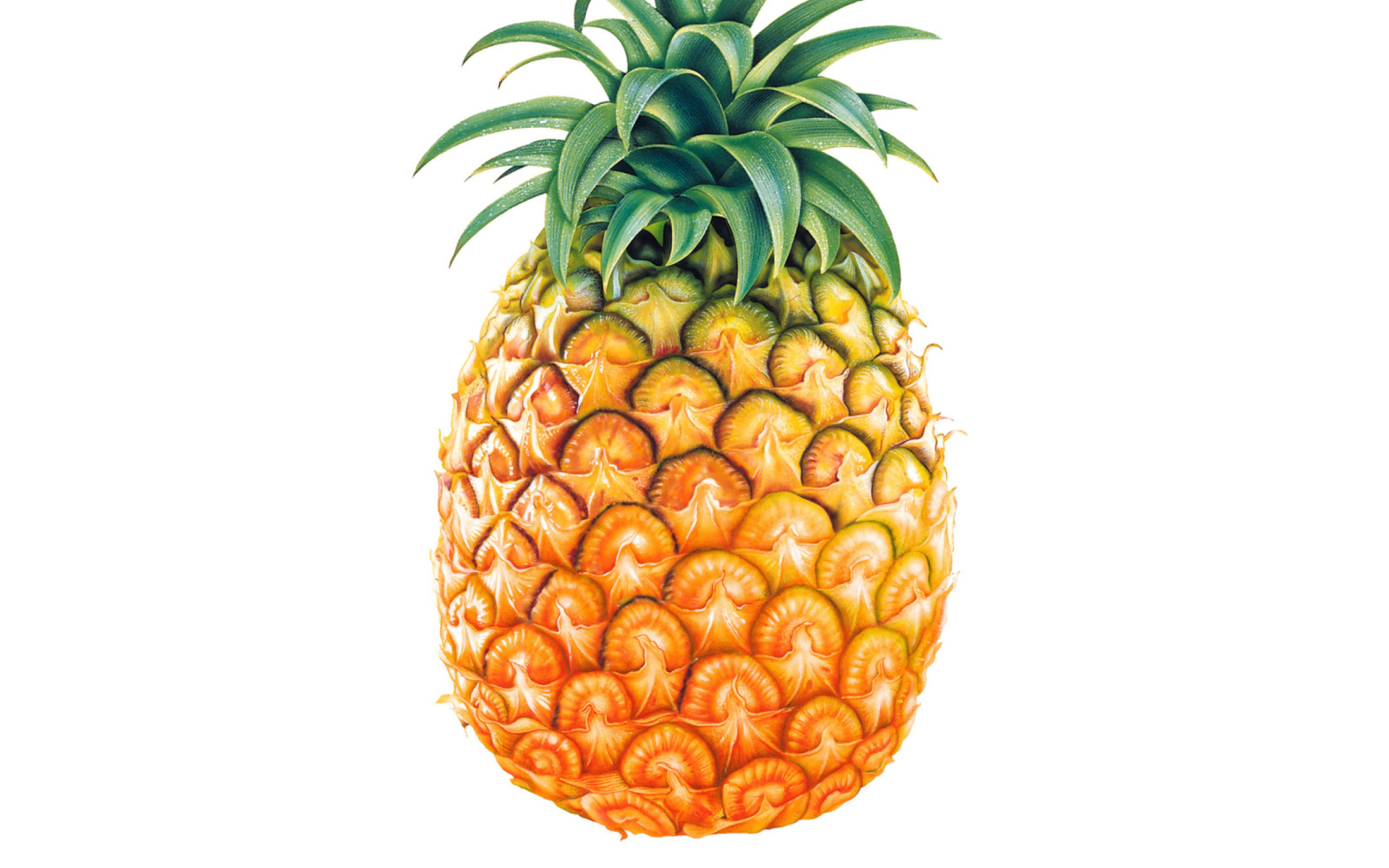 Обои Pineapple 1920x1200