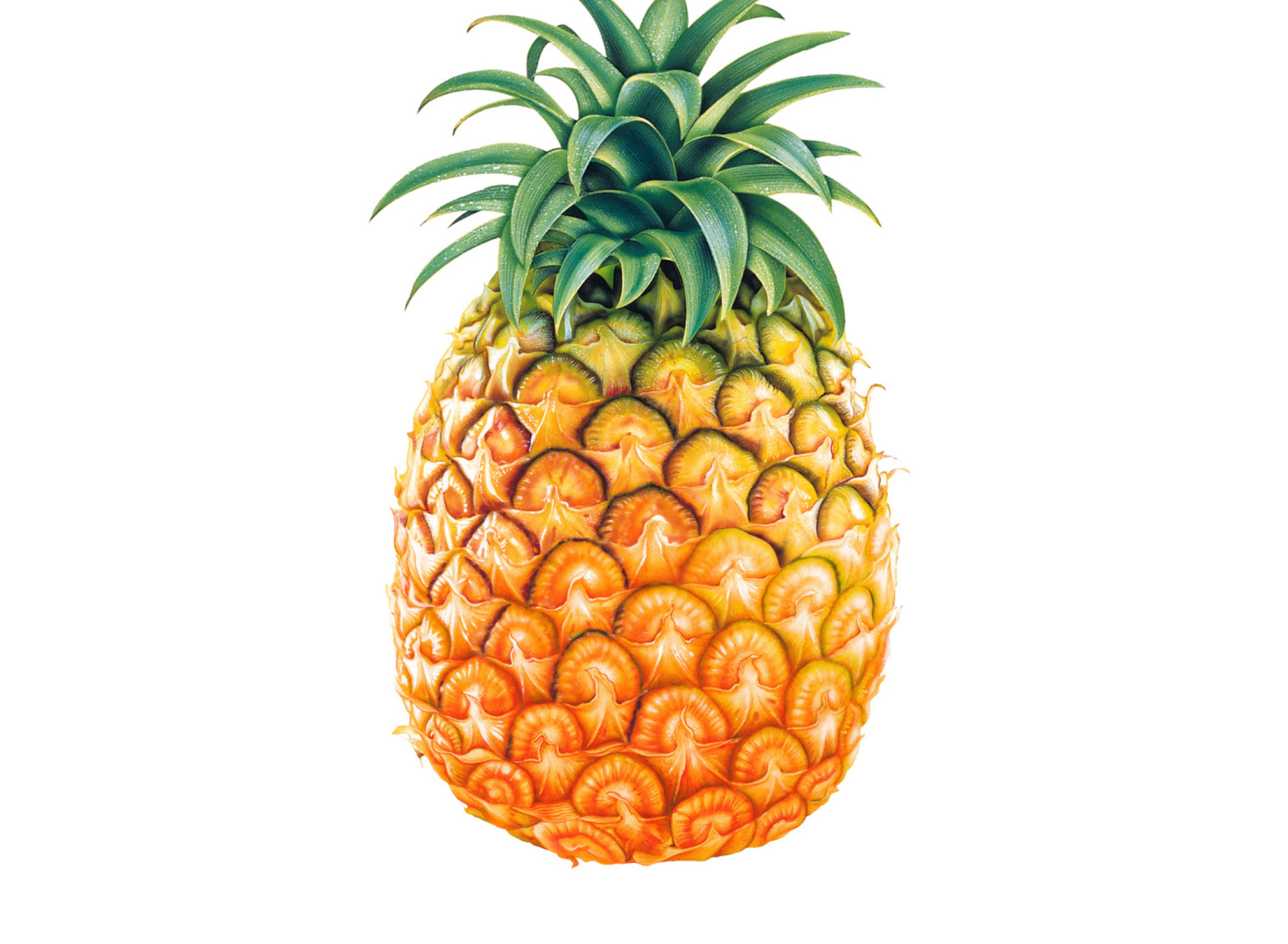 Fondo de pantalla Pineapple 1920x1408