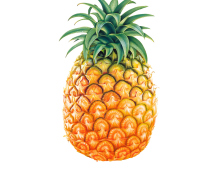 Pineapple wallpaper 220x176