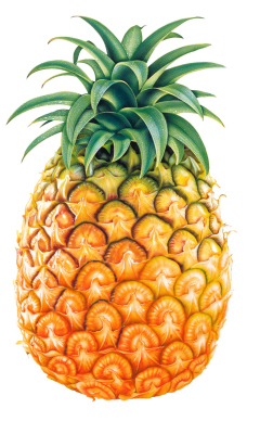Fondo de pantalla Pineapple 240x400