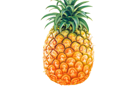 Fondo de pantalla Pineapple 480x320