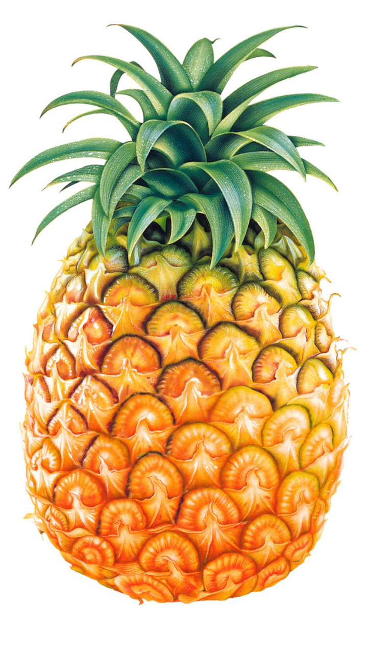Fondo de pantalla Pineapple 768x1280