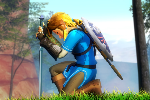 The Legend of Zelda screenshot #1 480x320