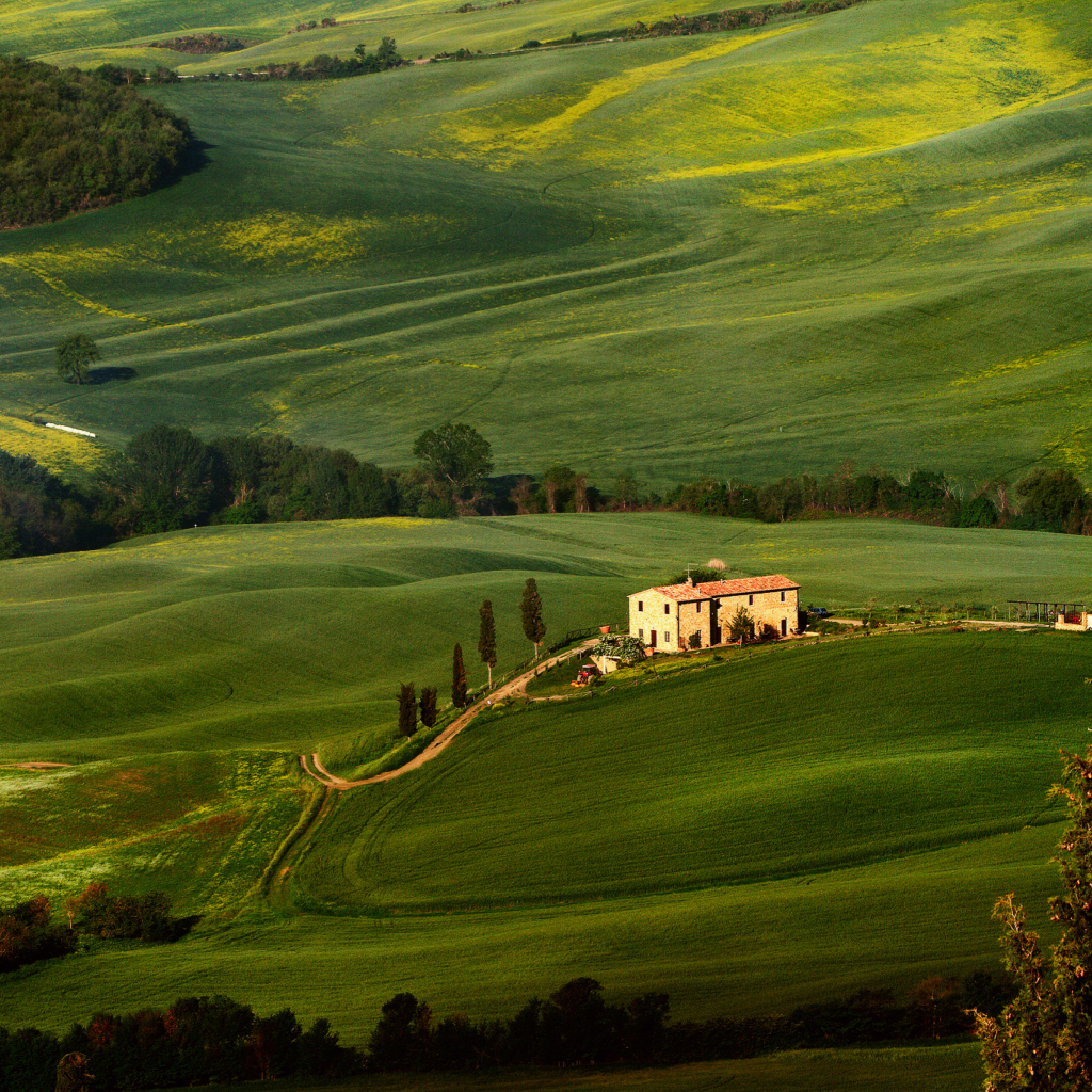 Das Tuscany Fields Wallpaper 1024x1024