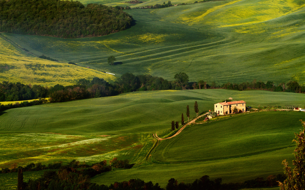 Обои Tuscany Fields 1280x800