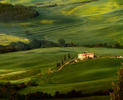 Das Tuscany Fields Wallpaper 176x144