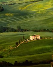 Tuscany Fields wallpaper 176x220