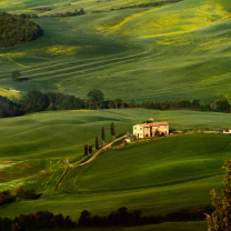Tuscany Fields wallpaper 208x208