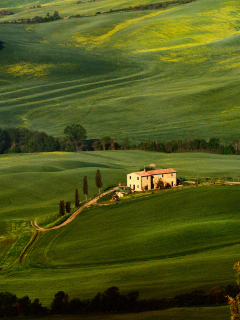 Tuscany Fields wallpaper 240x320