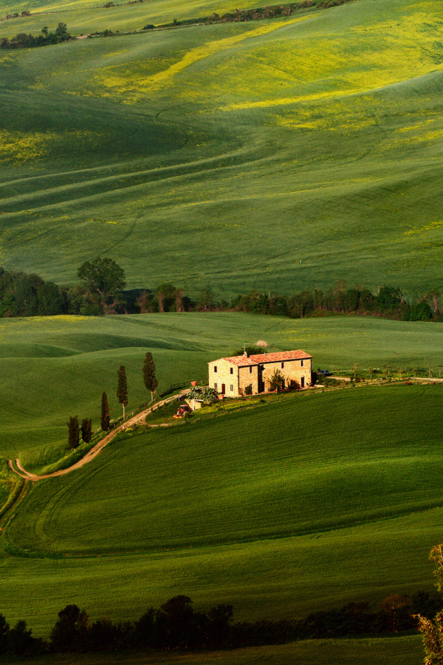 Das Tuscany Fields Wallpaper 640x960