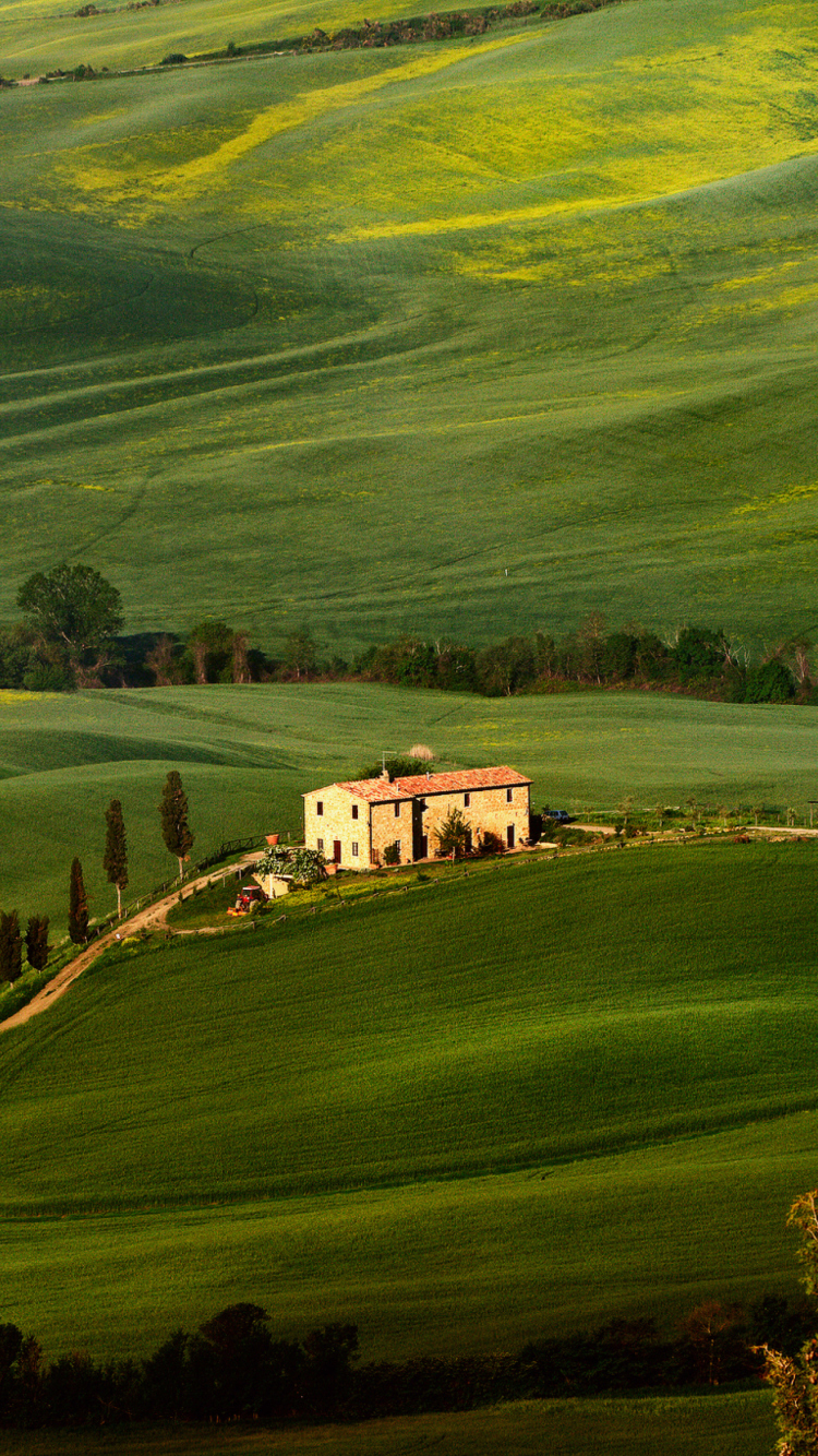 Tuscany Fields wallpaper 750x1334