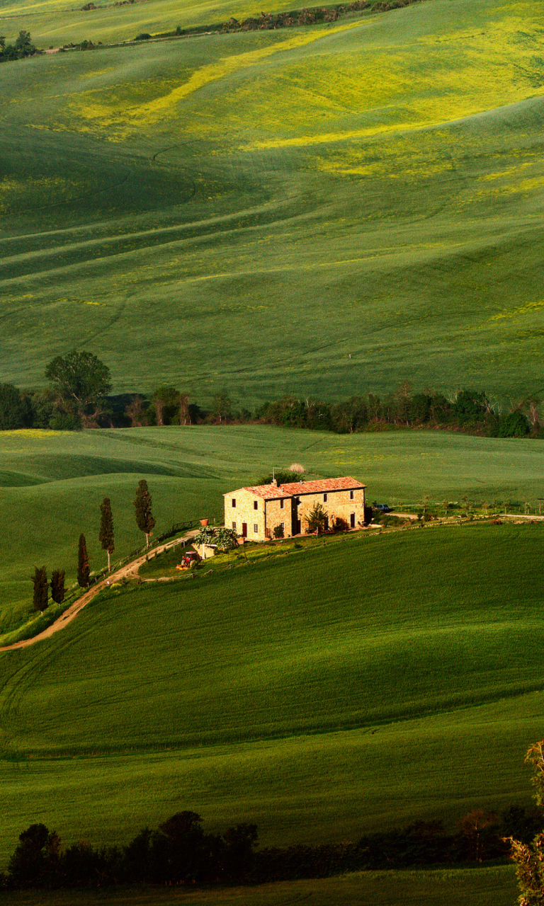 Das Tuscany Fields Wallpaper 768x1280