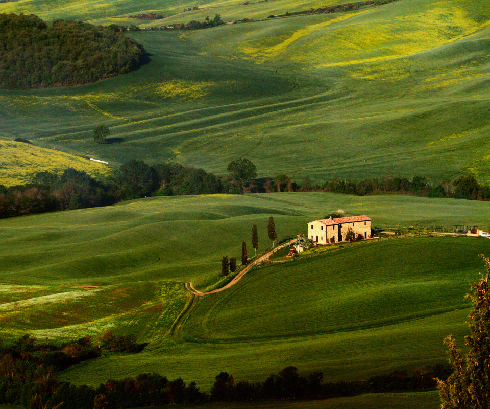 Tuscany Fields wallpaper 960x800