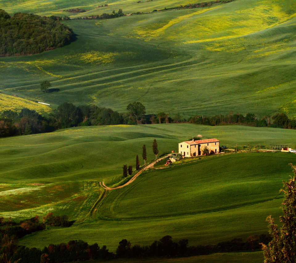 Tuscany Fields wallpaper 960x854