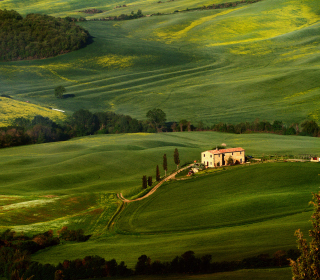 Kostenloses Tuscany Fields Wallpaper für iPad