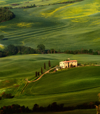 Tuscany Fields - Obrázkek zdarma pro iPhone 4S