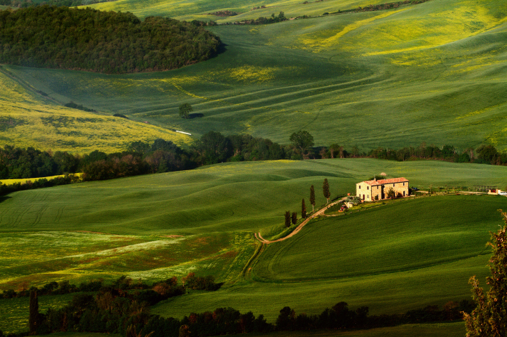 Das Tuscany Fields Wallpaper