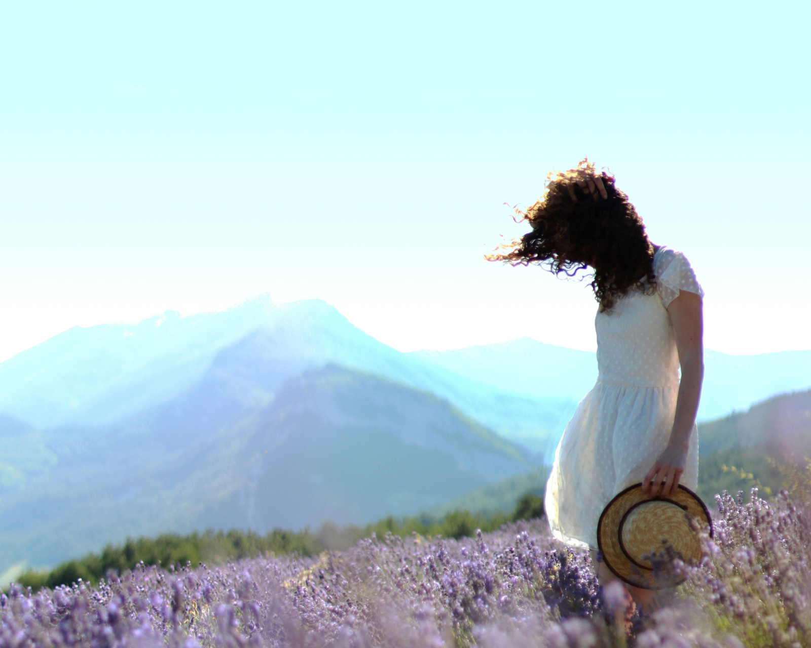 Girl In Lavender Field wallpaper 1600x1280