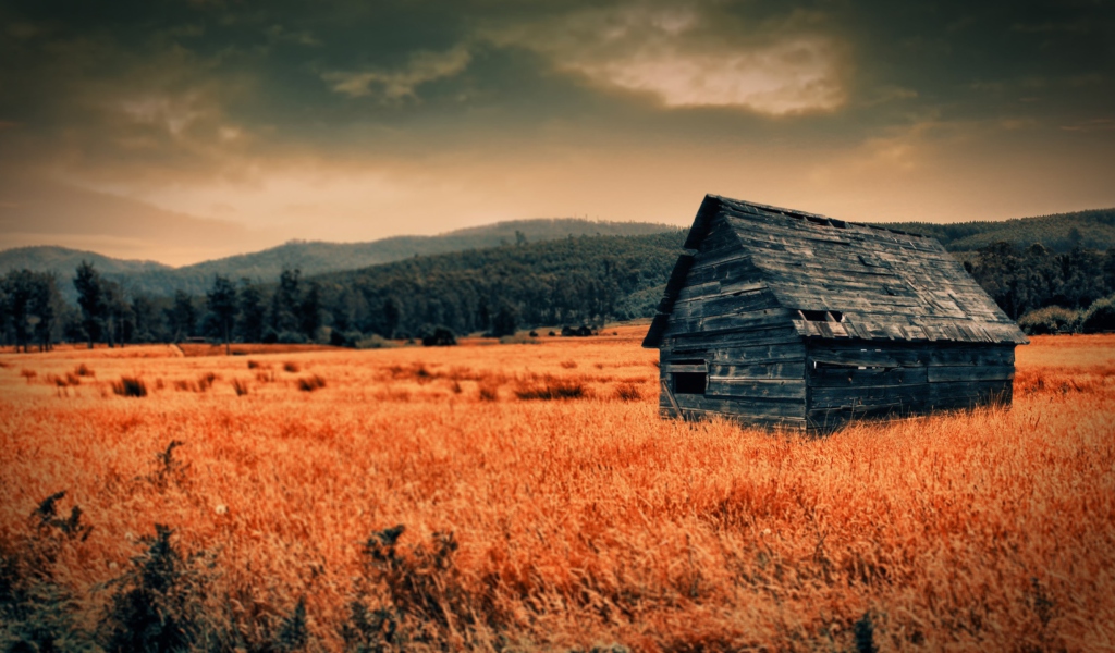 Lonely Countryside wallpaper 1024x600